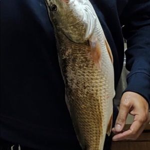 Meet your Posher, Muhammad